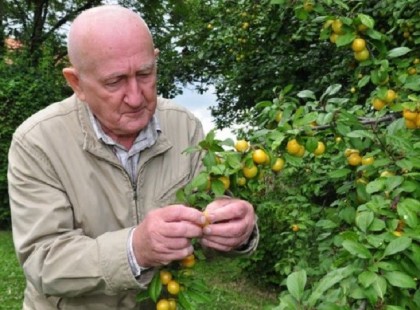 Volt egy rákja, de meggyógyította magát: Gyuri bácsi, a bükki füvesember története