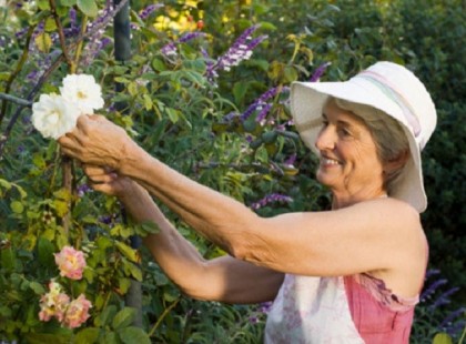 MÓDOSUL A NŐK 40+ PROGRAM! Átalakultak a negyven éve dolgozó nőkre vonatkozó nyugdíjkedvezmények! Egyre többen élhetnek a lehetőséggel, vehetnek igénybe kedvezményeket!Osszátok meg kérlek, minél többen, mert nagyon fontos információk vannak a cikkben! Köszönjük szépen!