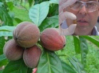 Megöli a rákot, mégis hallgatnak róla....