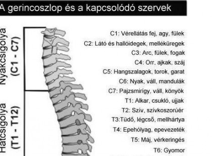Derékfájás fizikai és lelki okai 10 pontban
