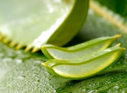 Meg van a rák ellenszere (Recept)