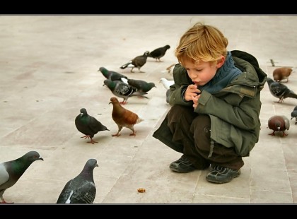 Türelem. A legfontosabb építőköve mindennek. Mert semmit sem szabad siettetni.