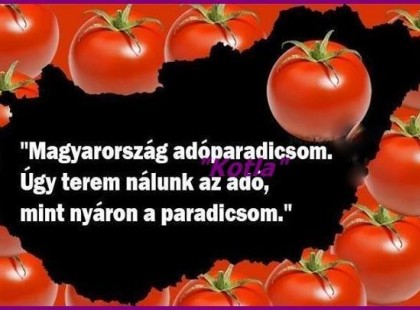 Magyarország adóparadicsom. Úgy terem nálunk az adó, mint nyáron a paradicsom.