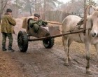 Mire a kutya megszólal: – Hú b…d meg! Te is megijedtél mikor a ló megszólalt?