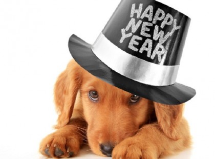 Íme a nagy éves horoszkóp 2015-re! Neked mit ígérnek a csillagok?