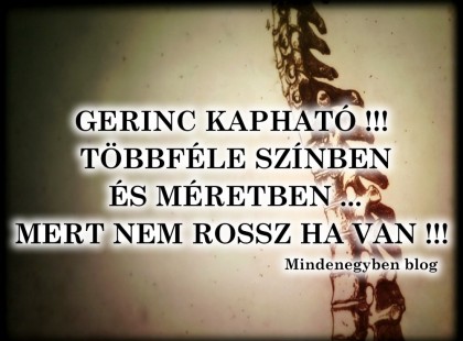 GERINC KAPHATÓ !!! TÖBBFÉLE SZÍNBEN ÉS MÉRETBEN ... MERT NEM ROSSZ HA VAN !!!