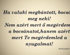 Ha valaki megbántott, bocsáss meg neki! Nem azért mert ő megérdemli a bocsánatot,hanem azért mert Te megérdemled a nyugalmat!
