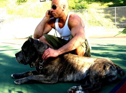 Mindenkinek egy élete van. És bocsàssa màr meg a vilàg, hogy azt gondolom, hogy a legtöbb, amit ezért az egy életért tehetek, az az..hogy a szìvem szerint döntök..és nem törődöm azzal, hogy màsok mit szólnak majd hozzà.