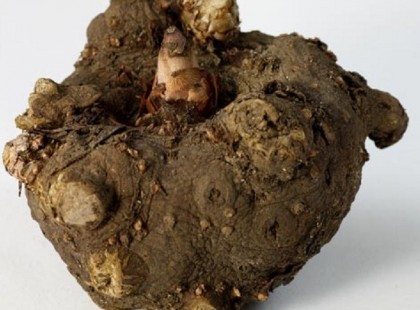 Csisztu Zsuzsa és Hodi Pamela is ettől fogy! Te kipróbálnád?