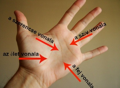 Neked milyen sors van a tenyeredben?