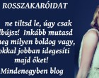 A rosszakaróidat ne tiltsd le, úgy csak elbújsz! Inkább mutasd meg milyen boldog vagy, sokkal jobban idegesíti majd őket!