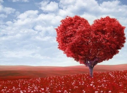 Oravecz Nóra: Szeresd, és merj szeretni, kimutatni, átölelni, mások előtt felvállalni - de leginkább merj önmagad lenni.