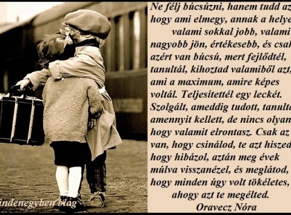 Ne félj búcsúzni, hanem tudd azt, hogy ami elmegy, annak a helyére valami sokkal jobb, valami nagyobb jön, értékesebb, és csakis azért van búcsú, mert fejlődtél, tanultál, kihoztad valamiből azt, ami a maximum, amire képes voltál. Teljesítettél egy leckét. Szolgált, ameddig tudott, tanultál, amennyit kellett, de nincs olyan, hogy valamit elrontasz. Csak az van, hogy csinálod, te azt hiszed, hogy hibázol, aztán meg évek múlva visszanézel, és meglátod, hogy minden úgy volt tökéletes, ahogy azt te megélted. oravecznora.blog.hu