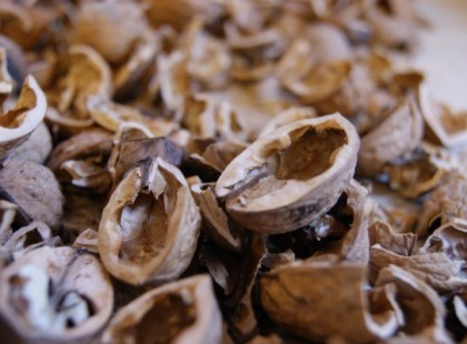 Meg se forduljon ezentúl a fejedben, hogy kidobd a dió héját: