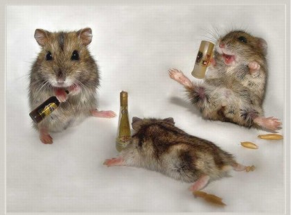 Másnapos SMS-esek olyanoktól, akik a sárga földig itták le magukat! :D