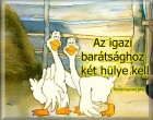 Az igazi barátsághoz két hülye kell. :D :D