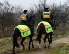 Karácsony reggelén a lovasrendőr figyeli az útkereszteződést. Észrevesz egy kisfiút, aki egy vadonatúj, csillogó biciklivel kerekezik. Odaszól neki: