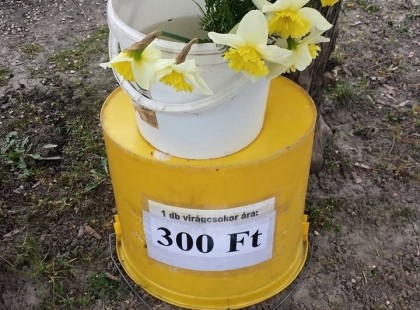 Delhusa Gjon:Isten áldjon győri emberek!