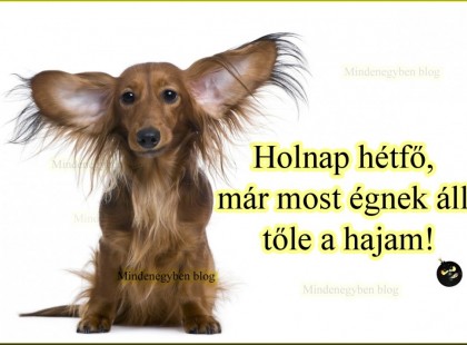 Holnap hétfő, már most égnek áll tőle a hajam!