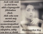 Albert Tímea: Azok vetik ránk az első követ, akik a legnagyobb félelemben élnek. Akik soha nem mertek még szembenézni nyomorúságukkal. Míg velünk vannak elfoglalva, addig sem üres az életük...
