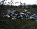 Csak szeretném megköszönni az IVN-599 rendszámú Suzukiból kipakoló sötét hajú nőnek és kopaszodó ősz szemüveges úrnak , hogy 