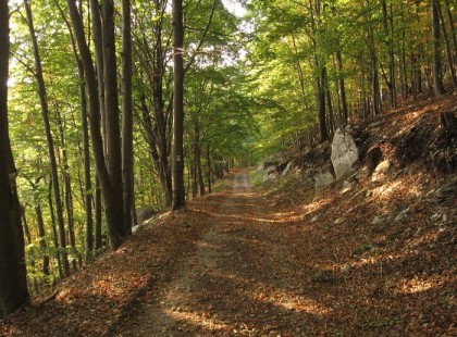 2 perces vizualizációs pszichológiai teszt, milyen a kapcsolatod önmagaddal?