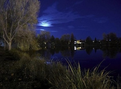 Wass Albert /Tavak és erdők könyve/