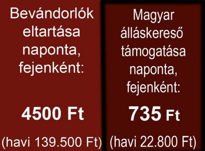 Egy bevándorló eltartása napi 4500 forintjába kerül az államnak