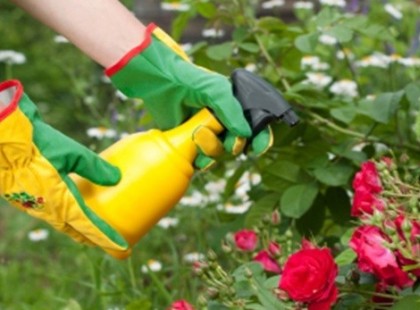 Az ecet igazi csodaszer a kertben, használd te is!