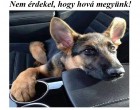 Nem érdekel, hogy hová megyünk! Csak az a fontos, hogy veled vagyok!
