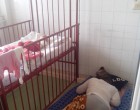 Napi szégyen..... :( Így tudnak aludni a Miskolci Megyei Kórházban a szoptatós anyukák a beteg gyermekük mellett,