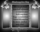 Ha meghaltam nem kell eljönnöd a temetésemre bebizonyítani, hogy számítottam Neked.Bizonyítsd be most, amikor még élek!