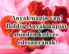 Anyák napja van! Boldog Anyák napját minden kedves édesanyának!