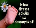 Isten éltesse sokáig az Édesanyákat !