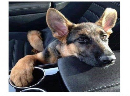 Nem érdekel, hogy hová megyünk! Csak az a fontos, hogy veled vagyok!