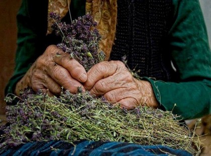 Tandari Éva: Szólj még, Mama ...!