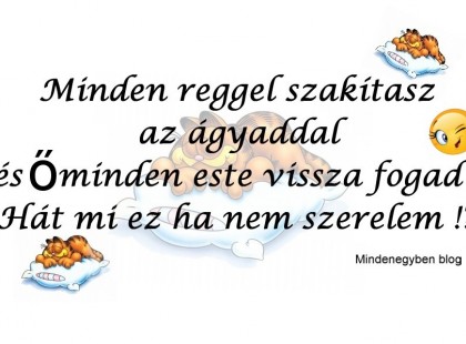 Minden reggel szakítasz az ágyaddal és ő minden este vissza fogad . Hát mi ez ha nem szerelem !? ♥