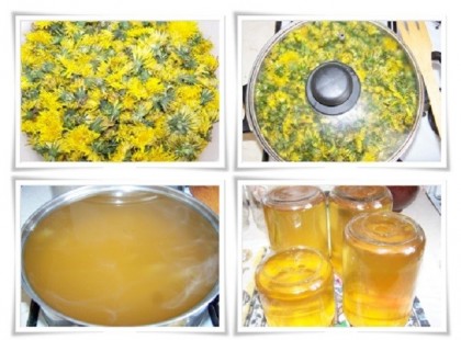 Készíts gyermekláncfűből mézet! Ezt neked is muszáj kipróbálni! Hoztunk nektek receptet is! :)