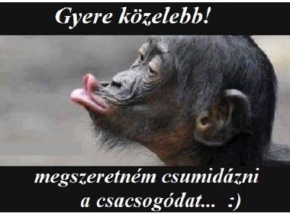 Gyere közelebb! Meg szeretném csumidázni a csacsogódat! :)