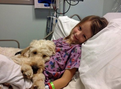 A kutyák jobbak, mint egy házastárs, mert bár ők nem teszik le az esküt, miszerint kitartanak melletted jóban, rosszban, gazdagságban, szegénységben, egészségben és betegségben. Mégis sokan megcsalatkozunk ezekben az eskükben, mert vagy betartani nem tudjuk vagy a társ, akiről azt hittük életünk végéig mellettünk lesz, ő nem tudja betartani. Ezzel szemben a kutyán nem esküdözik égre, földre és nem azért, mert nem beszélni az emberi nyelvet, hanem a szív nyelvét ismeri csak, a szeretvén szerető szív nyelvét, amely szavak nélkül tesz hűségesküt és soha nem hazudtolja meg azt. + fotók