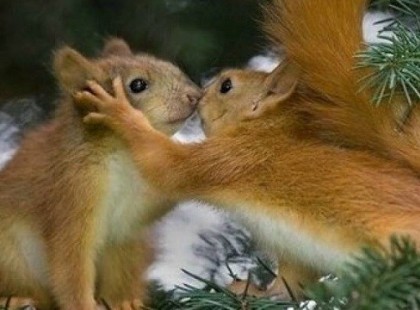 Gary Chapman: “Minden ember legmélyebb érzelmi szükséglete, hogy szeressen és viszontszeressék. Ha érezzük mások szeretetét, képessé válunk a bennünk rejlő lehetőségek kibontakozására, ennek hiányában azonban csupán a túlélésért küzdünk.”