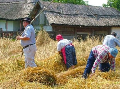 Ismered az igazi parasztot?