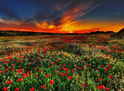 Csak egyet kérj az élettől: mindenből eleget