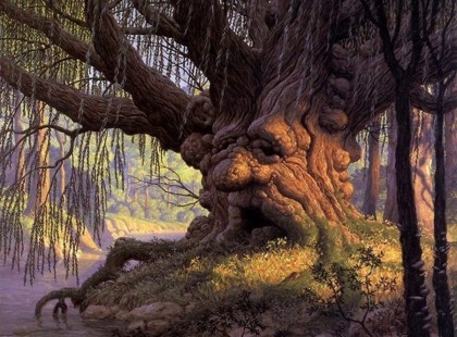 50 csodálatos bölcselet, amire egy idős FA tanított meg!