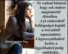 Ne szabad bánnod, hogy sok embert megismertél az életedben. A jó emberektől boldogságot kaptál, a rosszaktól tapasztalatot. A legrosszabbaktól leckét, a legjobbaktól pedig felejthetetlen emlékeket...