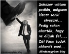 Sokszor voltam padlón, mégsem látott senki elveszni... Pedig sokan akarták, hogy ne álljak fel..., DE! Nem tudok akkorát esni...