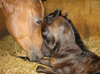 Tanulj meg megbocsátani és teremts vele egy új világot