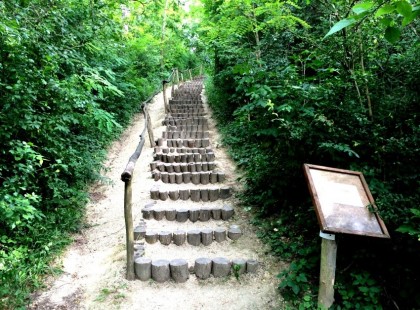 Mezít­lá­bas Park, Tabajd - Ahol az egész család kikapcsolódik és ráadásul ingyenes