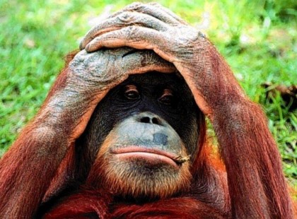 Az első napon Isten megteremtette a kutyát. És mondá az Úr: Ülj egész nap házad ajtaja előtt és morogj meg mindenkit, aki elhalad vagy bejön. Húsz évnyi életet adok neked.Húsz év? – kérdezte a kutya. Az túl sok morgás. Adj nekem csak tíz évnyi életet, a másik tízet visszaadom Neked. És beleegyezé az Úr.