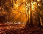 REKORD HOSSZÚ LESZ IDÉN AZ ŐSZI SZÜNET! - NAGYSZERŰ HÍR DIÁKOKNAK! Szeptember 1-jén megkezdődik az iskola, de legalább az őszi szünet rekord hosszú lesz! Összesen 181 napot kell majd iskolába menni az új tanévben! ITT VANNAK A LEGFONTOSABB INFÓK AZ ÚJ TANÉVHEZ :Osszátok meg kérlek benneteket ha tehetitek, mert ez nagyon jó hír a diákoknak és fontos információk a szülőknek! Nyomtasd ki, mert még sokszor szükséged lehet rá! KÖSZÖNJÜK!